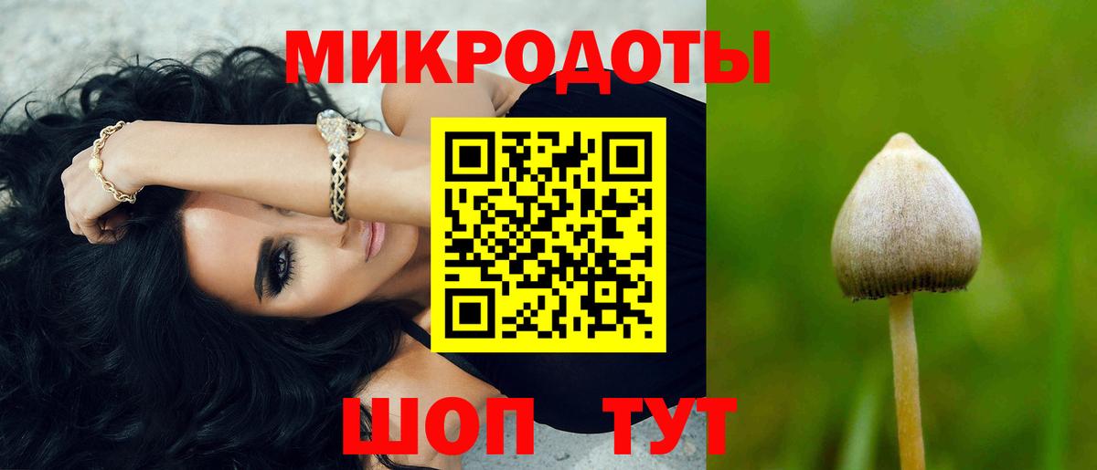 Уварово  Галлюциногенные грибы Psilocybe  Вход с VPN 